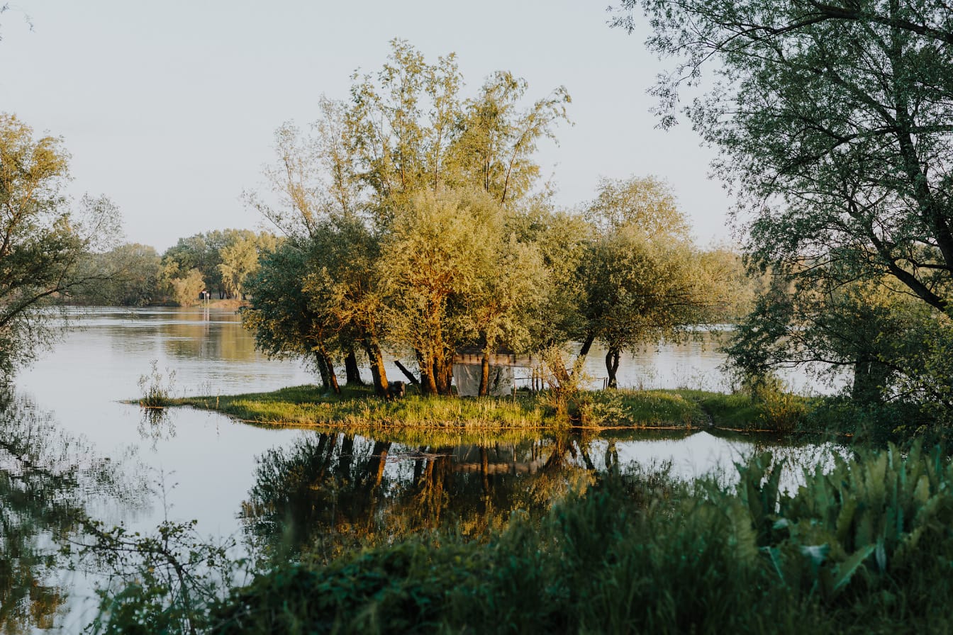 Llanura aluvial fluvial primaveral en la ribera del Danubio