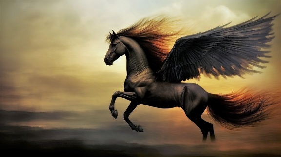美丽, 幻想, 飞马座, 风, 运行, 马, 种马, 野生