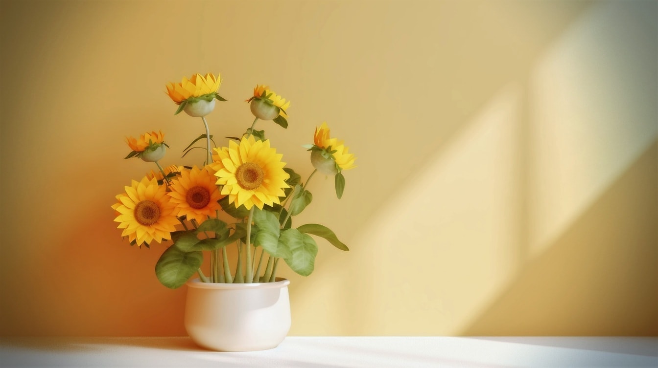 Vit keramisk blomkruka med solrosor av gulaktig vägg i mjuk skugga