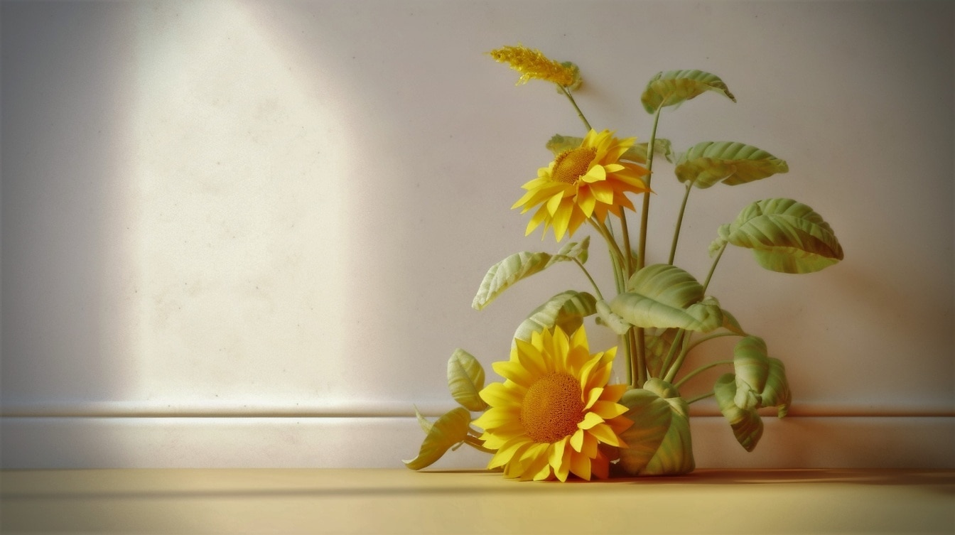 Grafika slunečnic ve stínu u bílé zdi