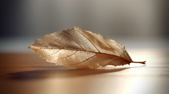 Detailed close-up graphic of dry leaf with blurry background
