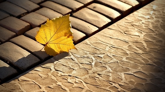 Iillustration of bright yellowish leaf on cobblestone sidewalk