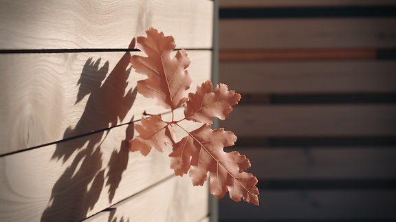 Ilustrație cu frunze de stejar maro deschis pe gard din lemn pe lumina soarelui