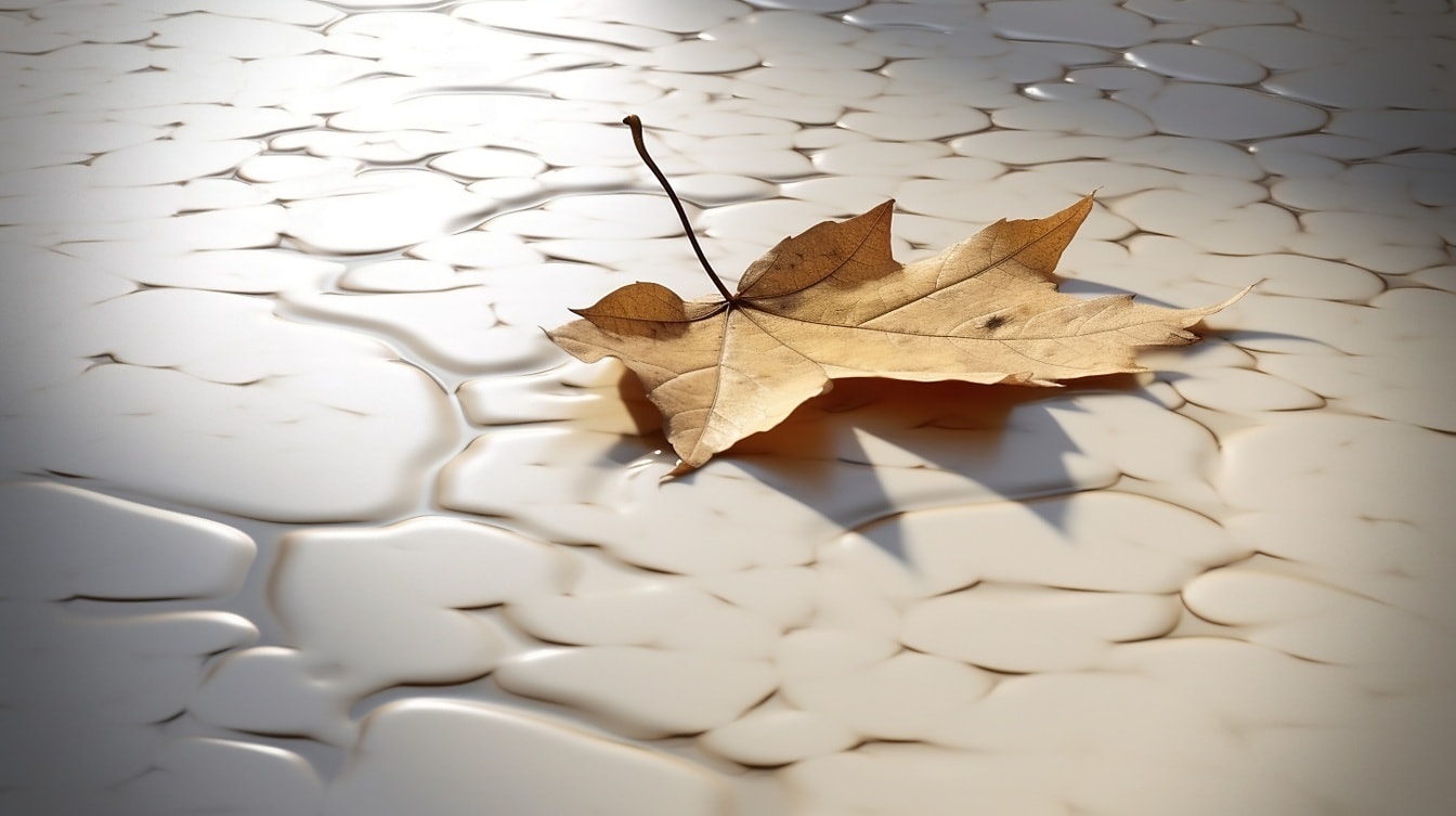 Ilustrasi daun maple coklat muda pada batu mengkilap