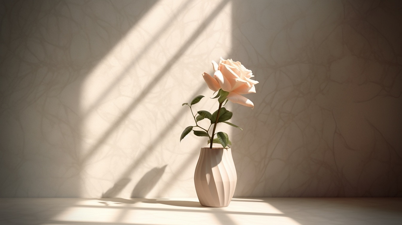 Rosa blanca beige en jarrón de porcelana en habitación vacía
