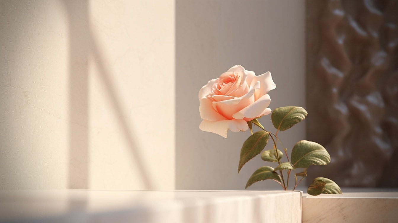 米色大理石上明亮柔和的粉红色单玫瑰花蕾