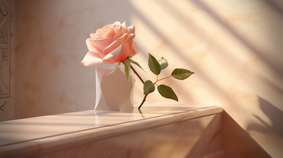 рожево, пастель, Троянда, rosebay, бежевий, мармур, стіл, квітка
