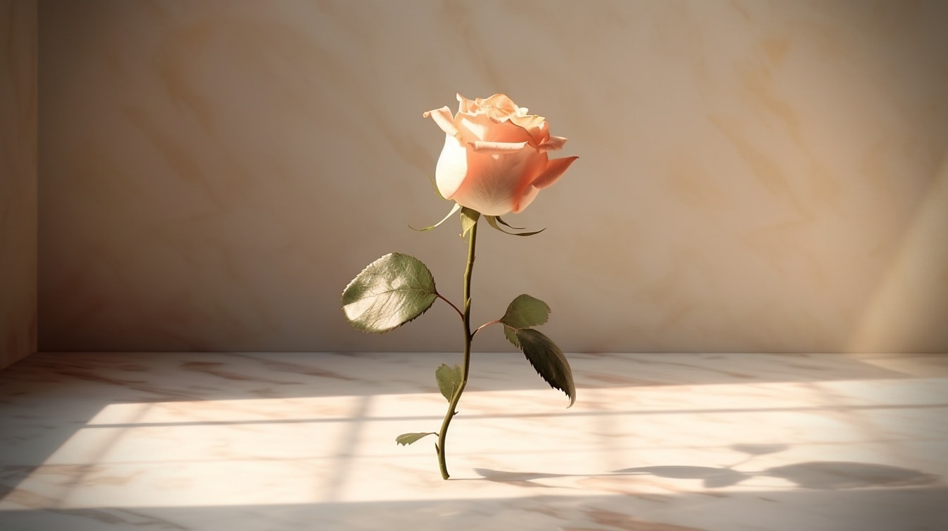 Ярко-розоватая роза на бежевом мраморном полу