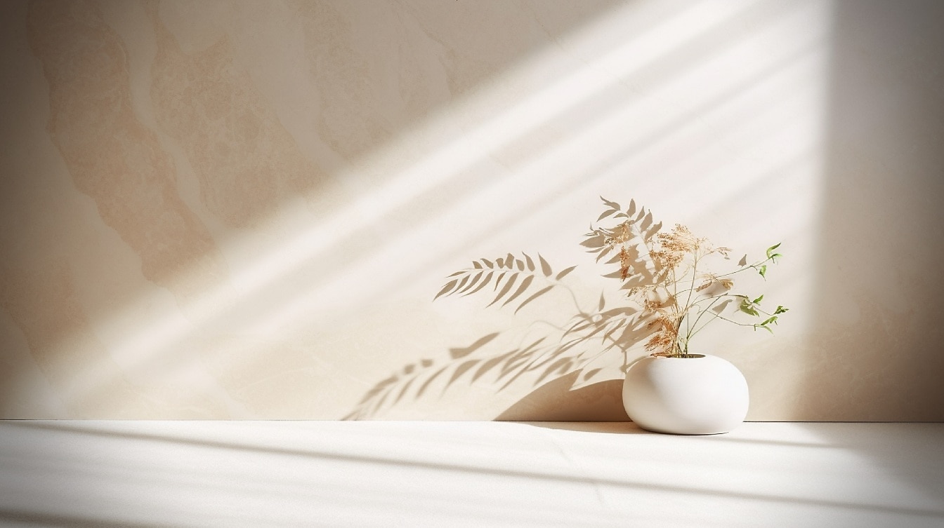 Vaso rotondo in ceramica con erbe aromatiche e ombra su parete beige