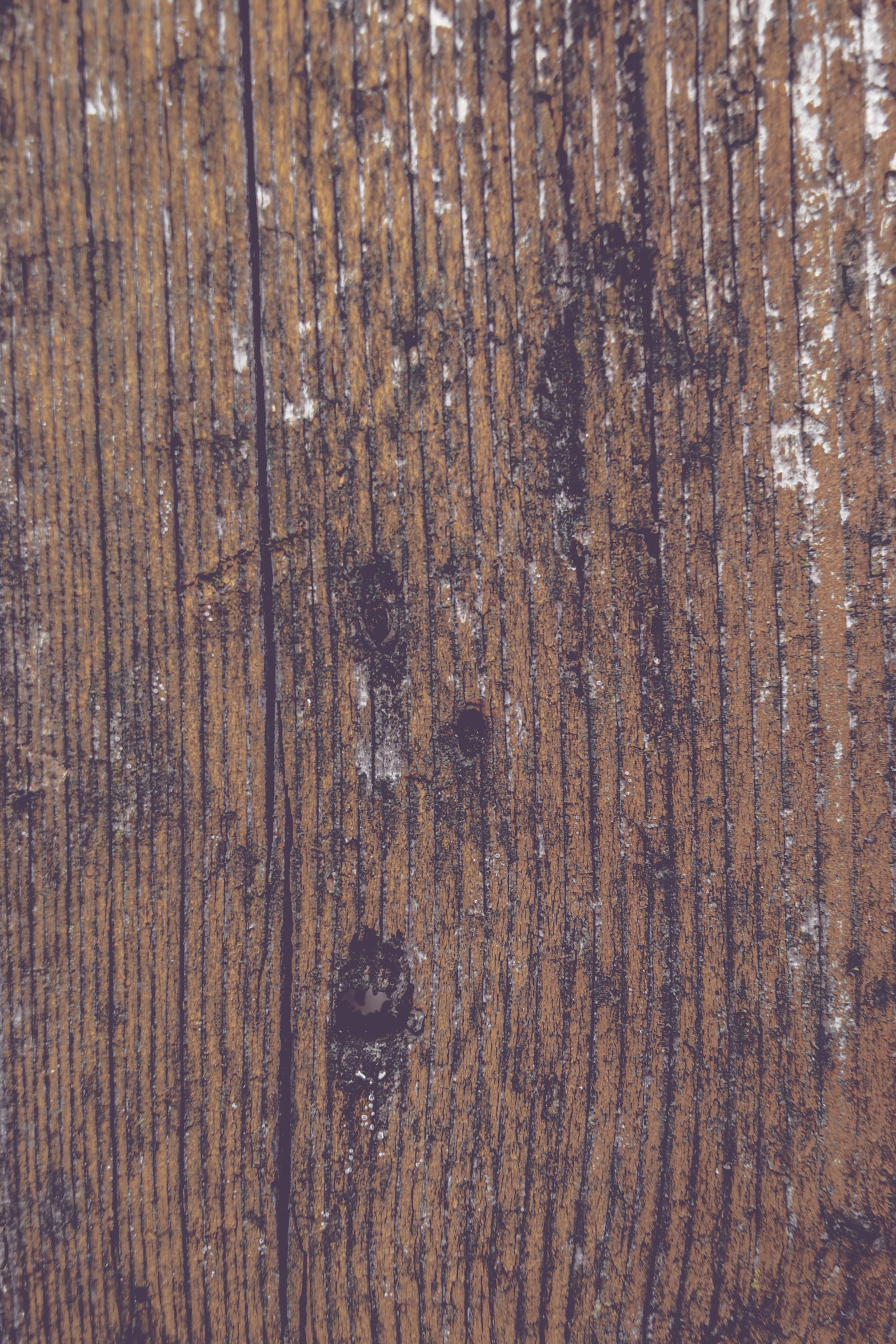 Close-up van geelachtig bruine oude bederfplank met gatentextuur