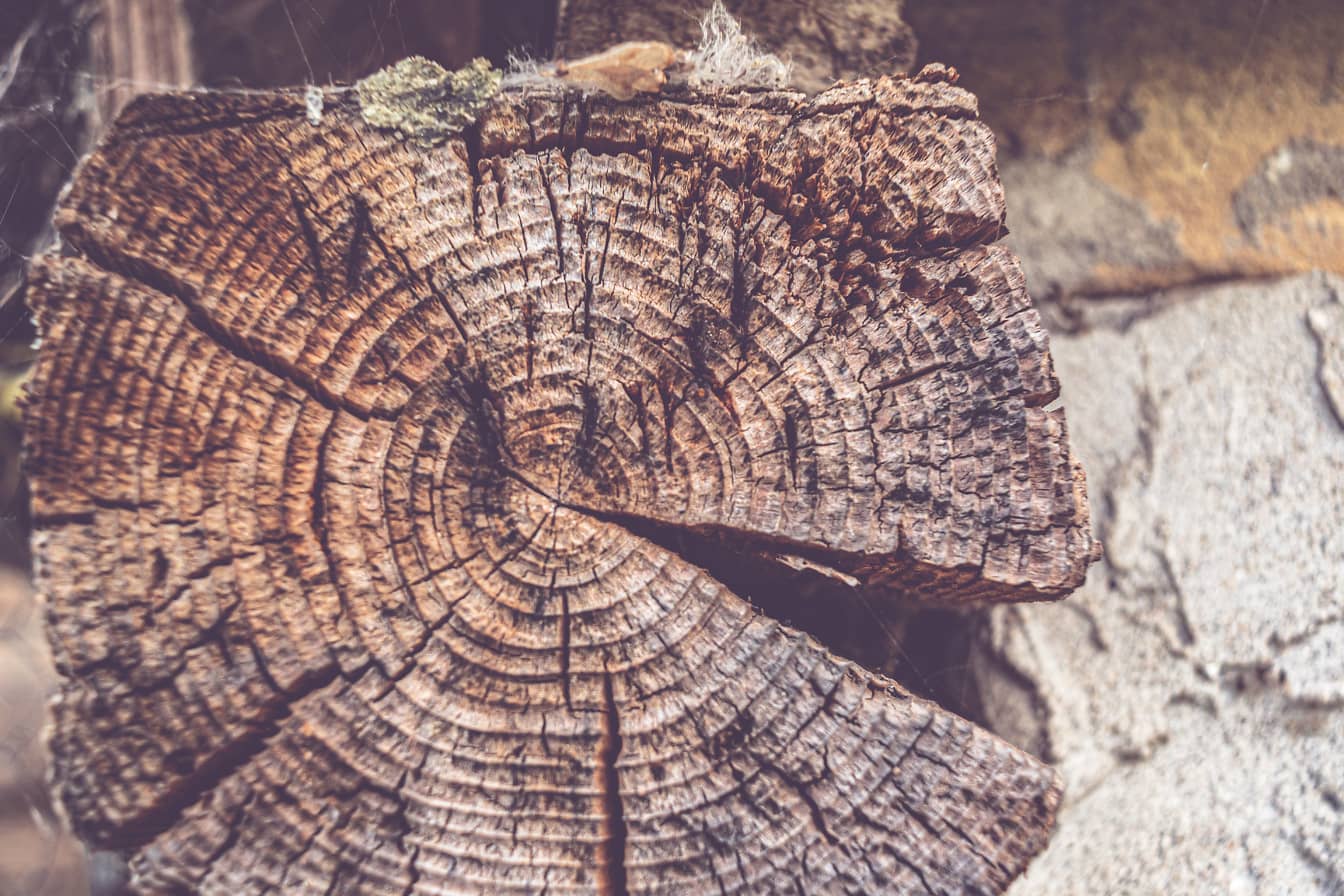 Close-up dwarsdoorsnede van oude rustieke houten paal