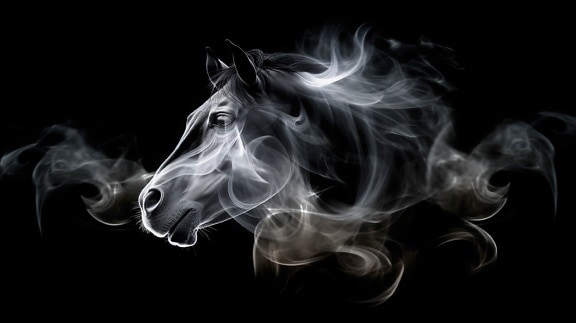 Transparent illustration of horse head in smoke with black background
