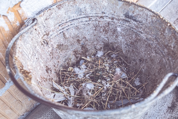 Old metal bucket with feces excrement and dirt