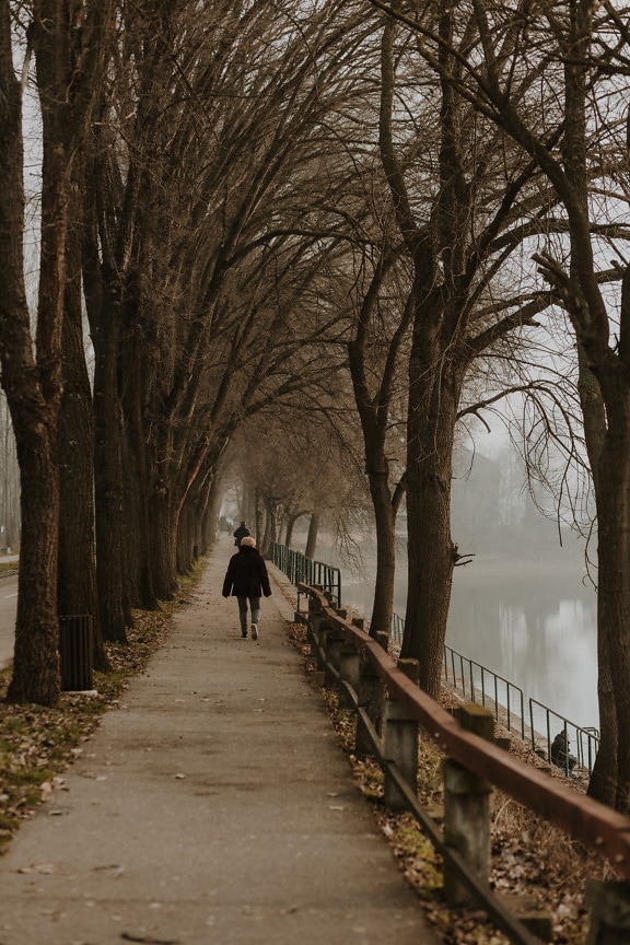 Pedestrian walking on alley by foggy lakeside
