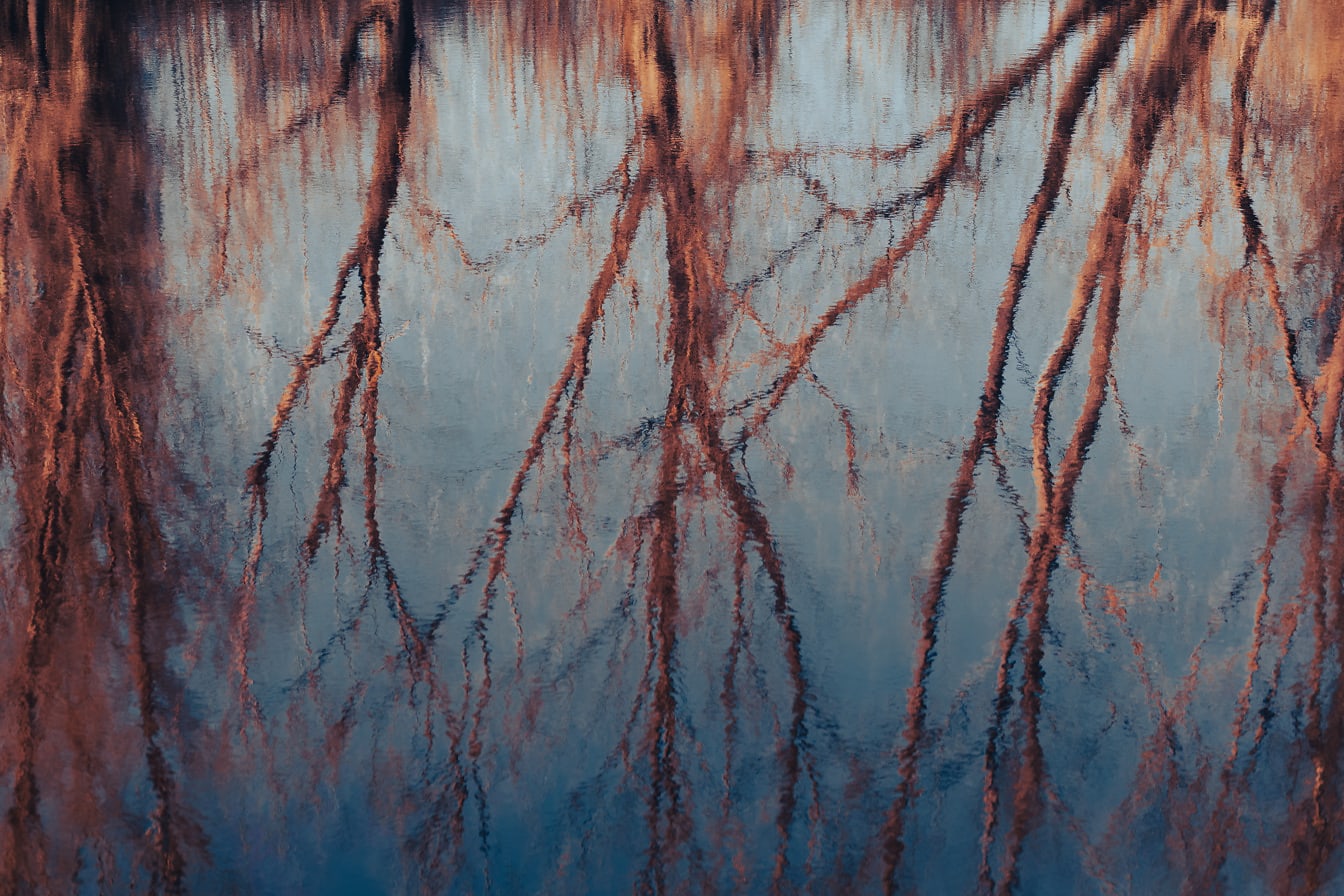 Pantulan pohon di musim gugur di permukaan air yang tenang