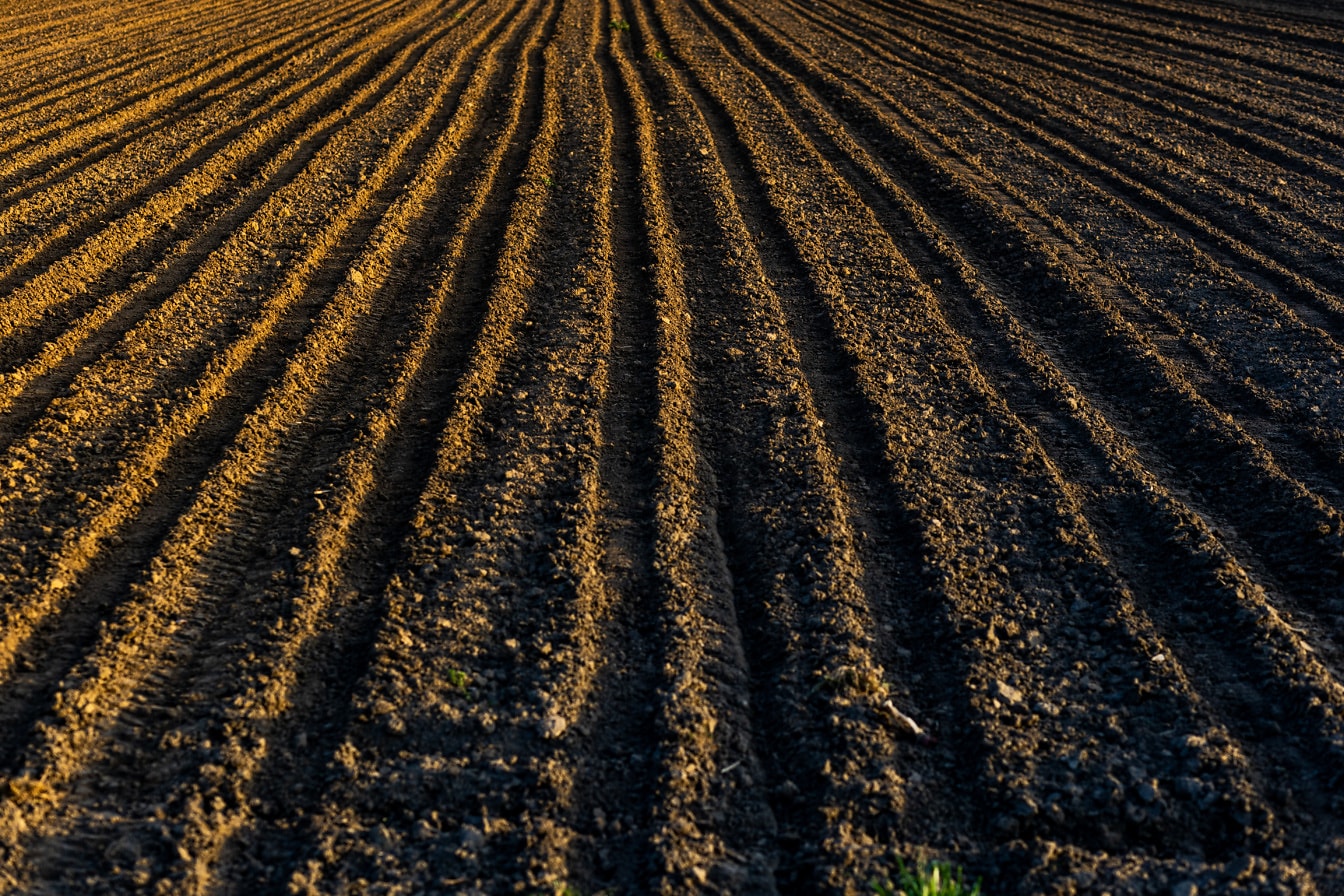 Пустая плоская почва сельскохозяйственных угодий