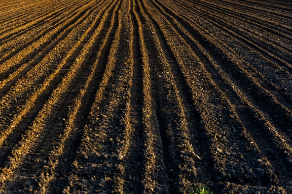 Empty flat field soil agricultural farmland