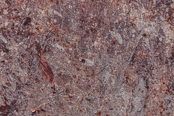 Close-up of dirty rust metal surface