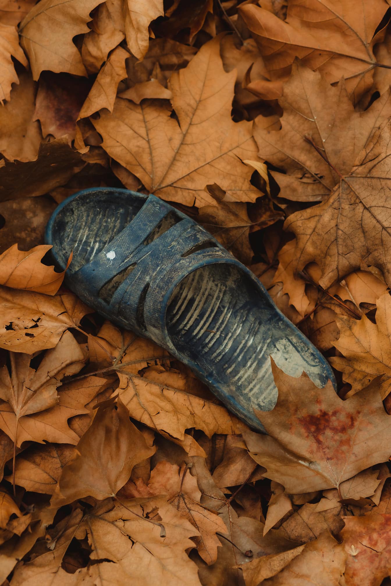 Sandal plastik kotor biru tua di daun musim gugur