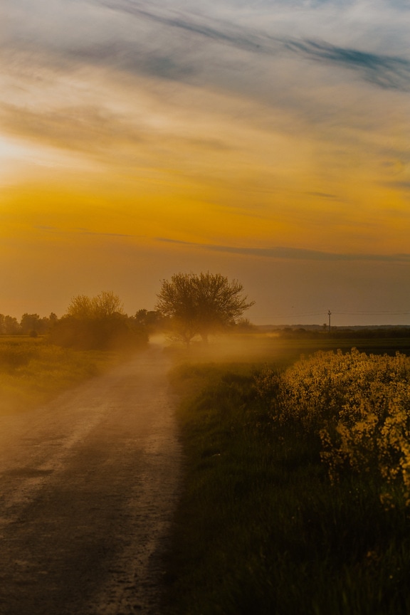 Dust blow on dirty road at sunset rural countryside
