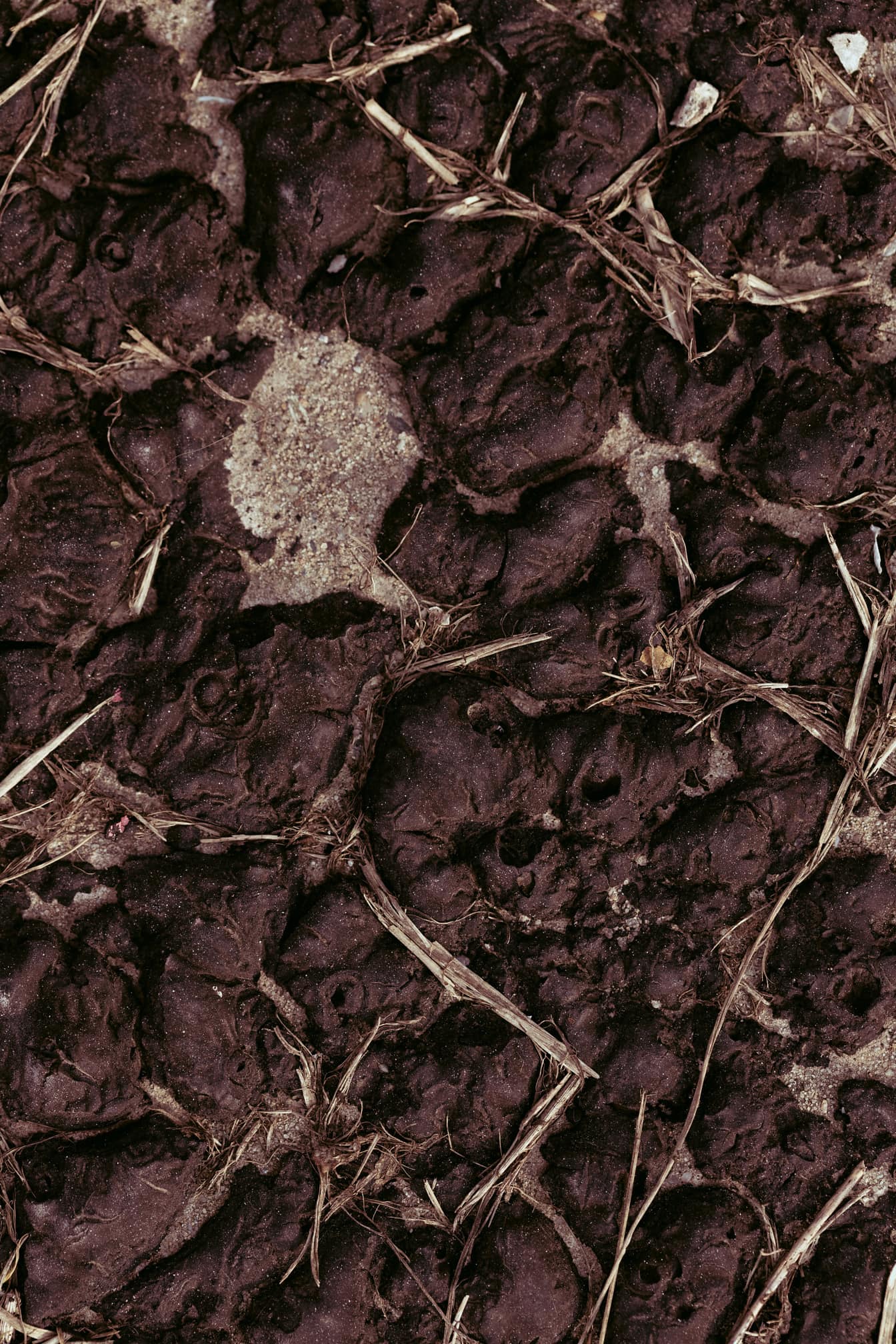 Tessitura superficiale del suolo asciutto e ruvido nella stagione secca della siccità
