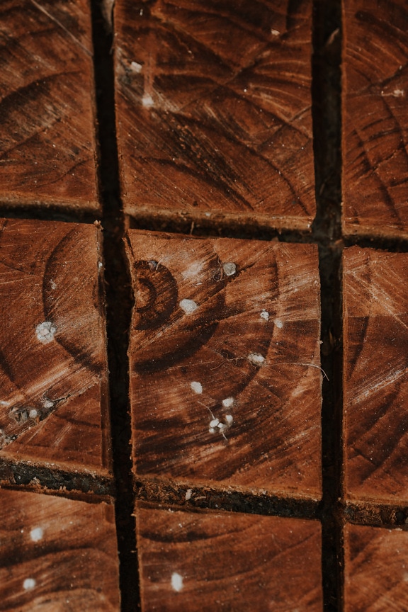 Secțiunea transversală a trunchiului copacului cu textura liniilor verticale și orizontale