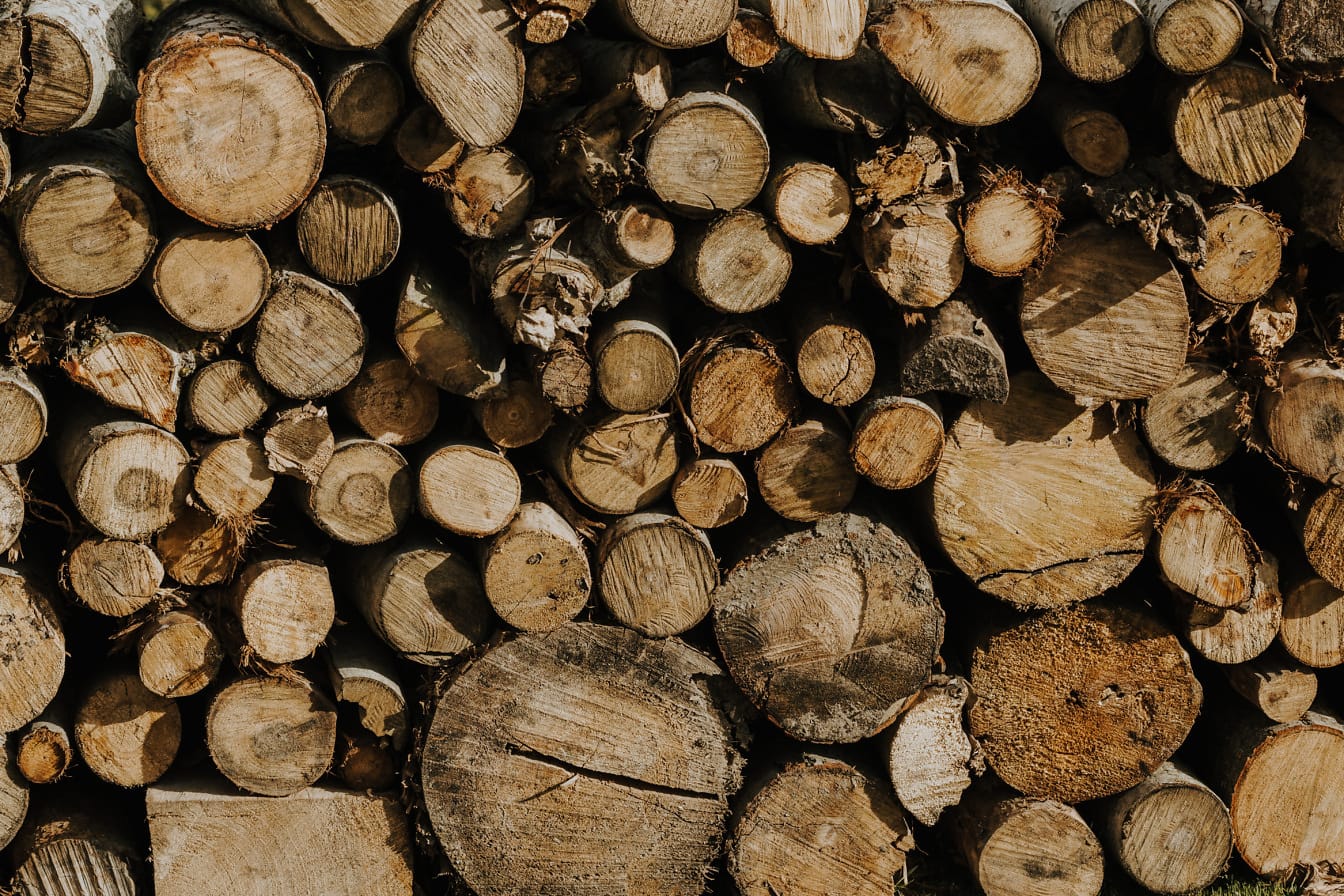 Текстура на стека дърва за огрев с напречно сечение