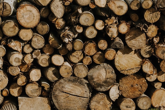 Texture of stack of firewood with cross section