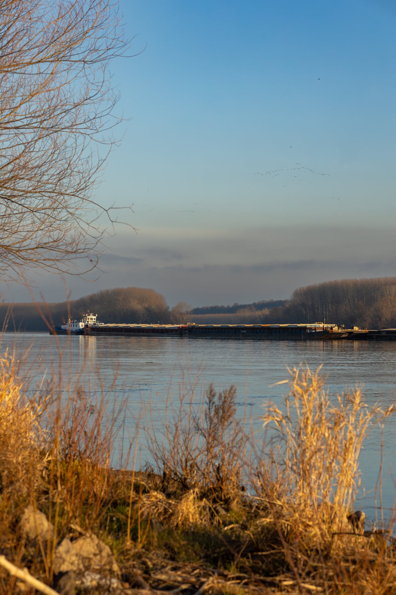 Groot binnenvaartschip op de rivier van Donau