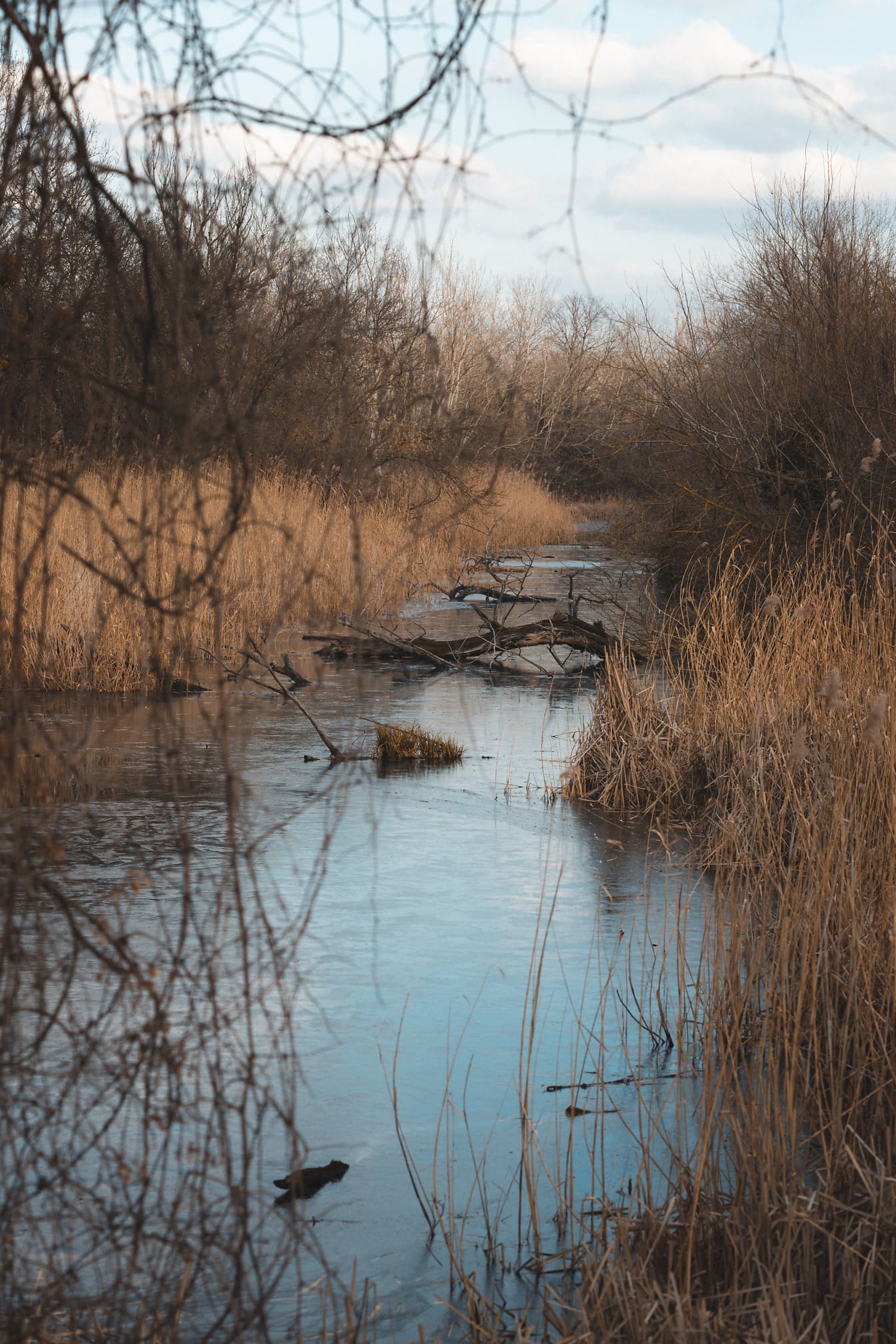 가을철 늪 수로의 차가운 물