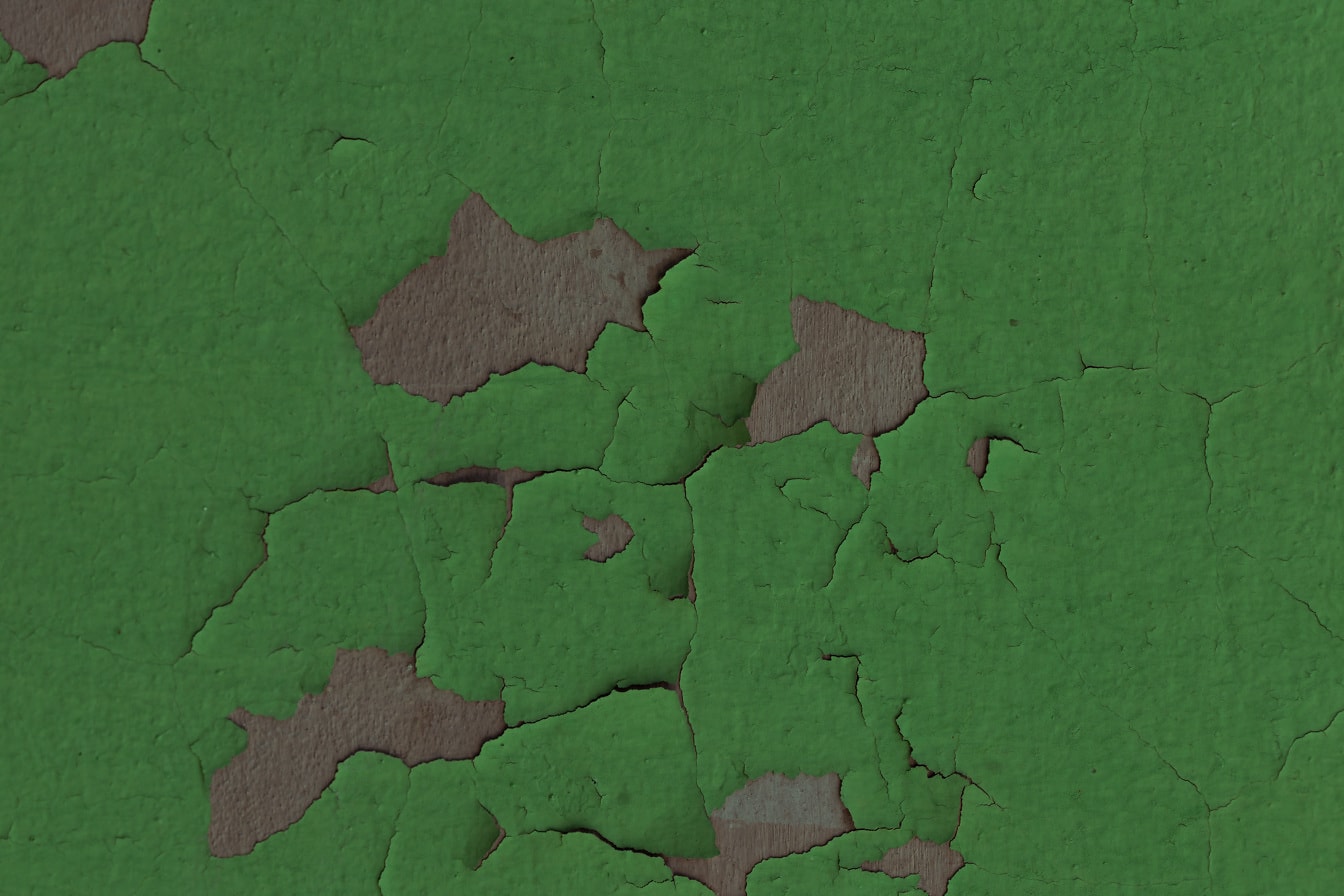 Rozpad suchá hrubá tmavě zelená barva na zdi