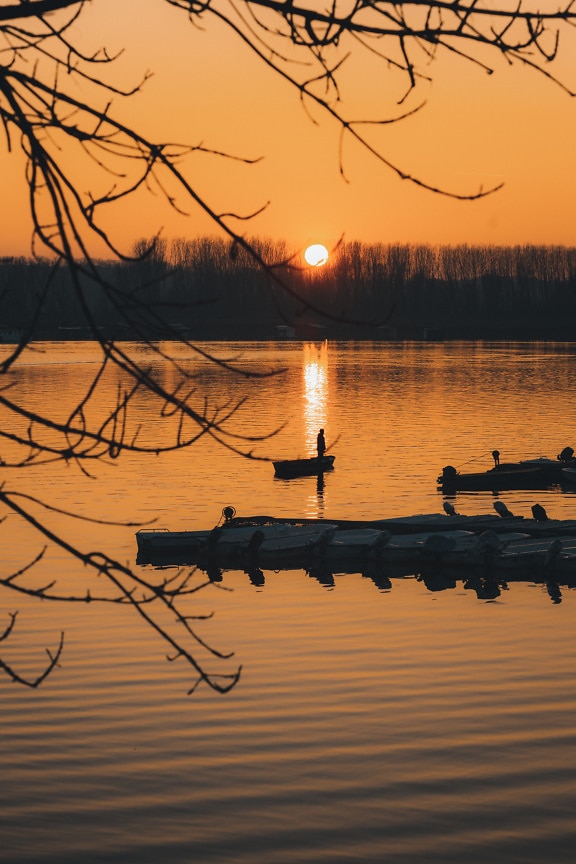 silhuet, stående, person, solnedgang, søen, båd, solen