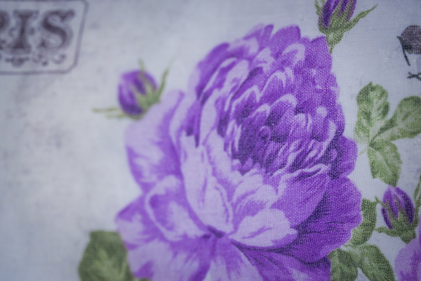 特写帆布纹理紫色花朵在棉纺织品上