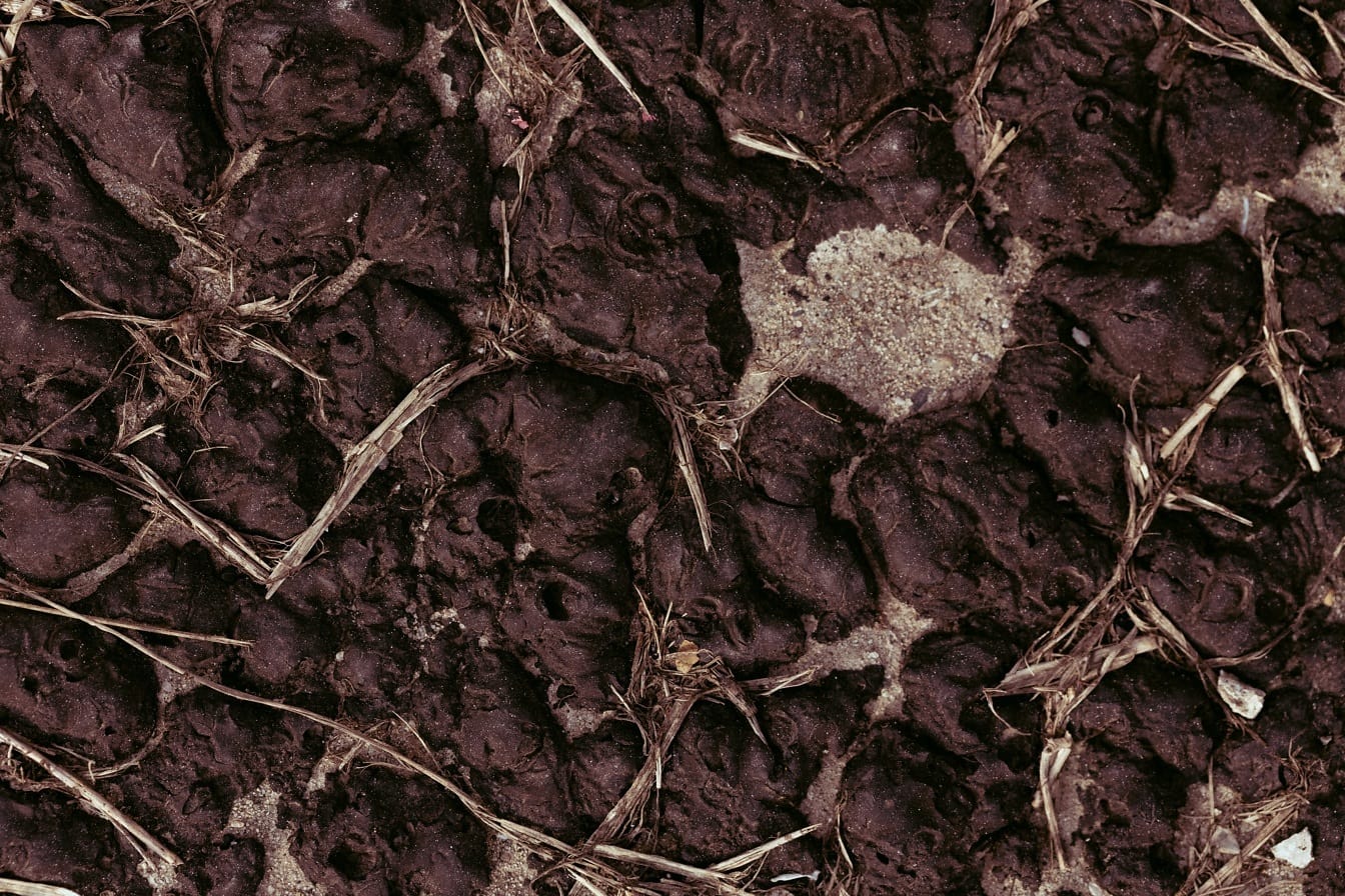 Tekstur close-up musim kekeringan lumpur kasar kering