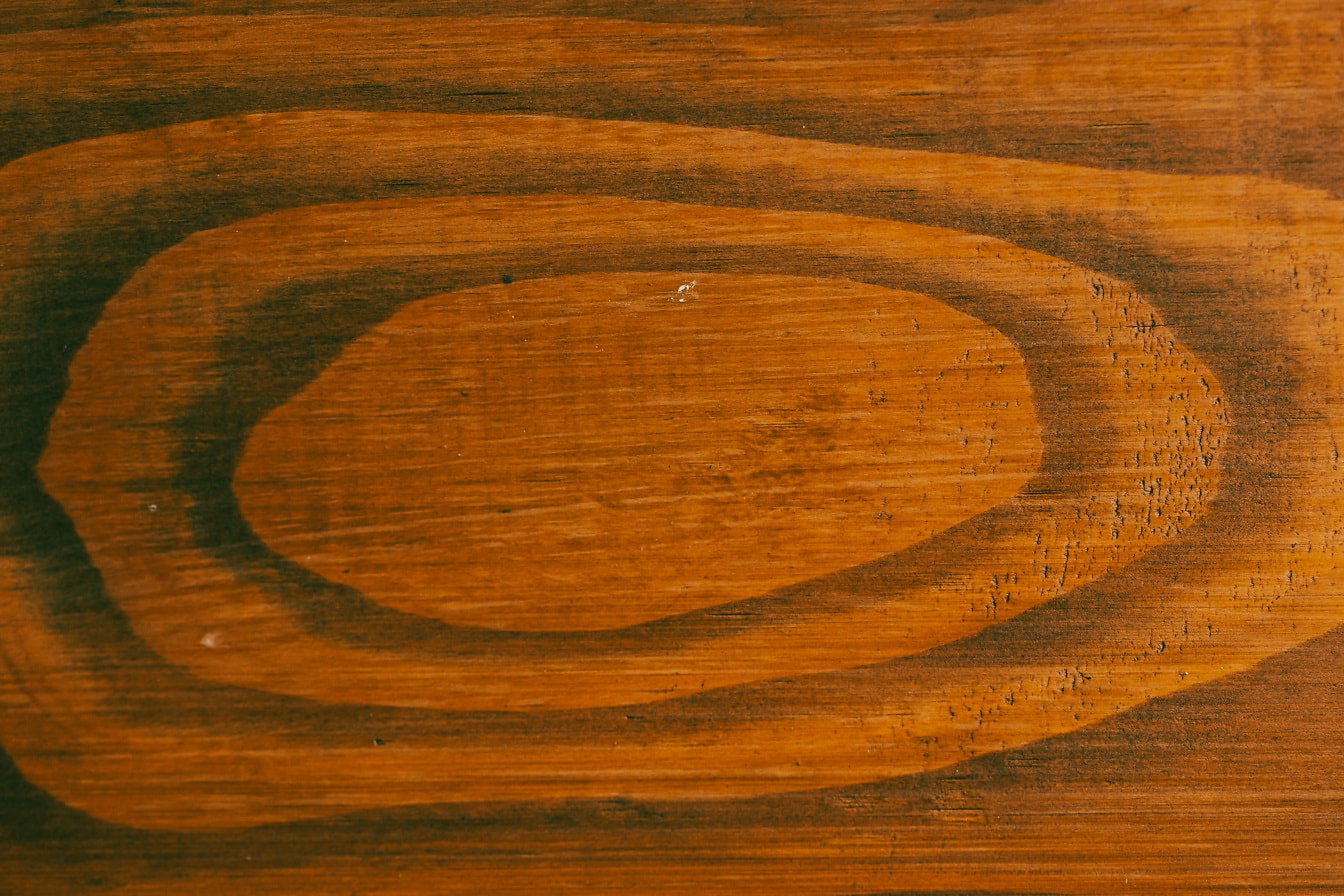 Primer plano de la textura de la textura de la tabla de madera dura de la sección transversal del nudo