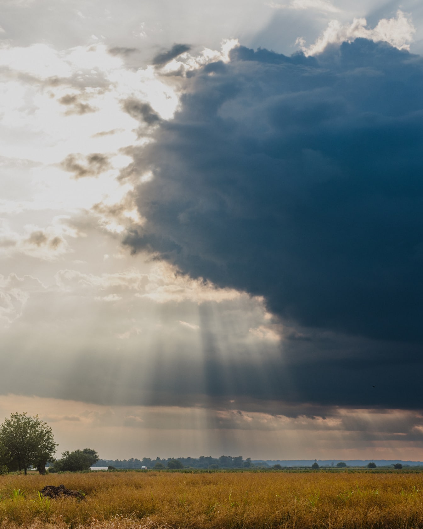 Solstrålar med mörkblå moln på jordbruksfält