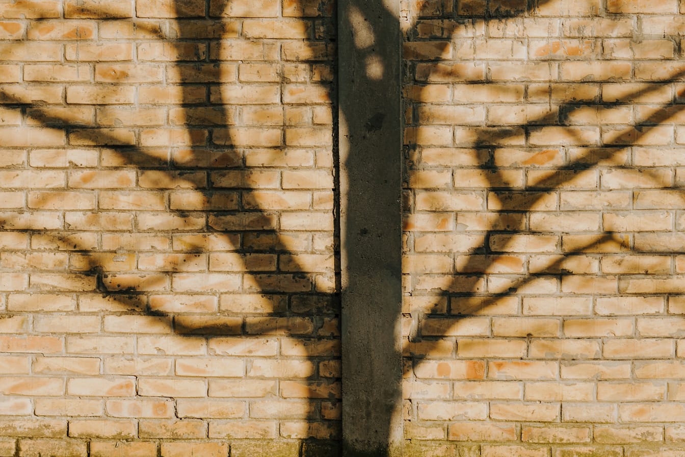 Светло-коричневая кирпичная стена с бетонной колонной и тенью силуэта дерева