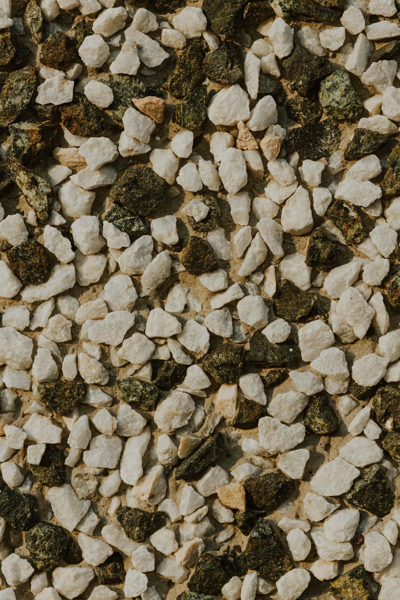 Pierres de granit noir et blanc dans la texture de ciment en gros plan