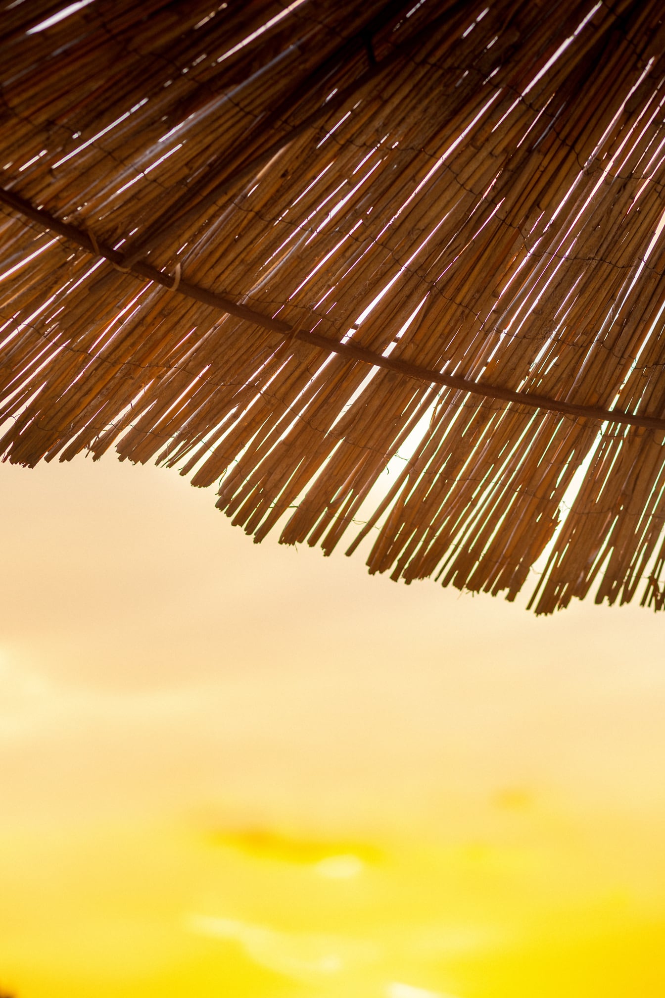 Parasoltag med lysegul himmelglød i baggrunden