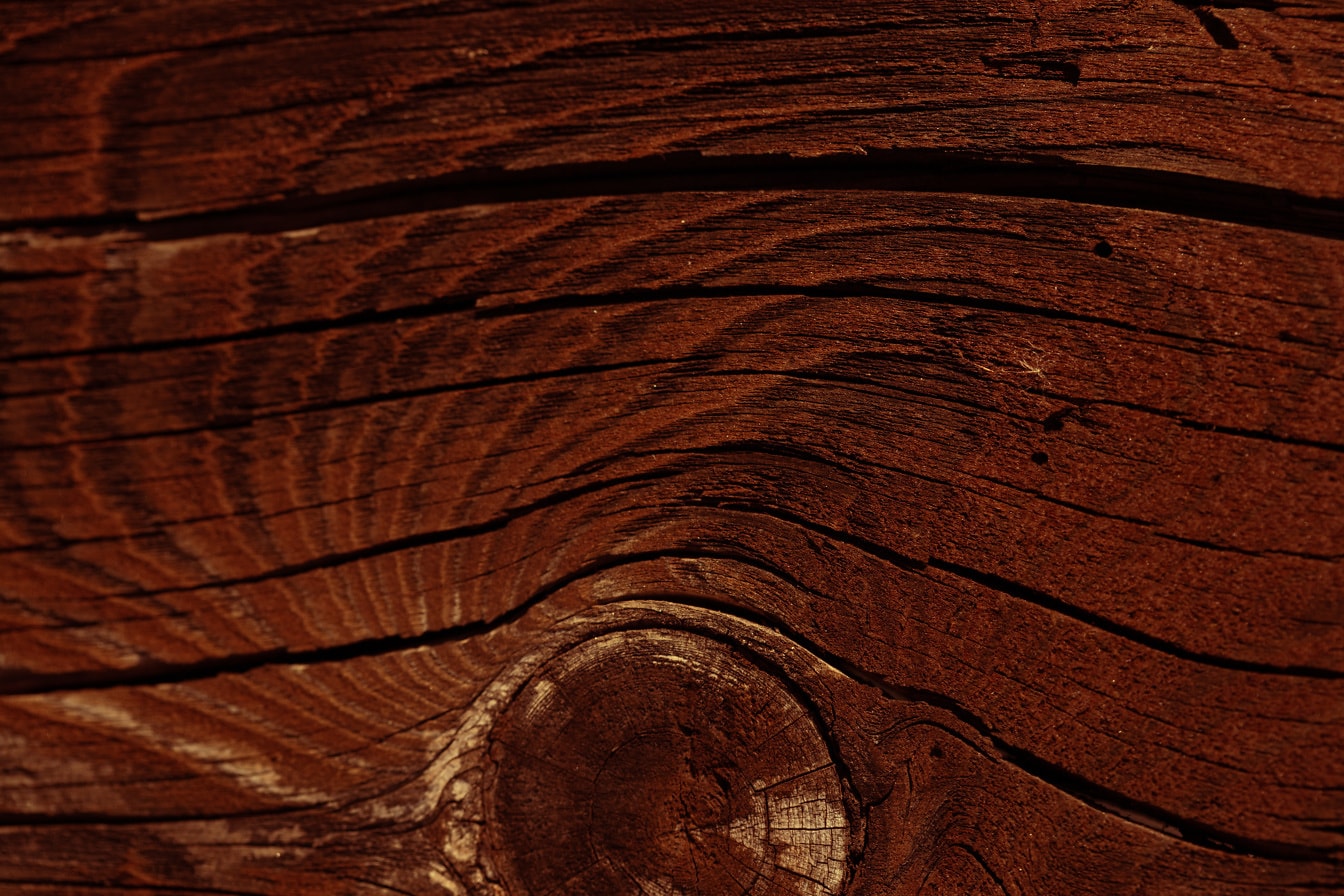 Tavola di legno duro con vernice rosso scuro sezione trasversale del nodo
