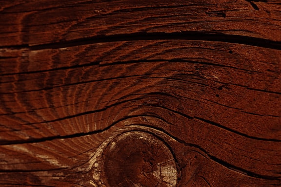 Hardwood plank with dark red paint cross section of knot