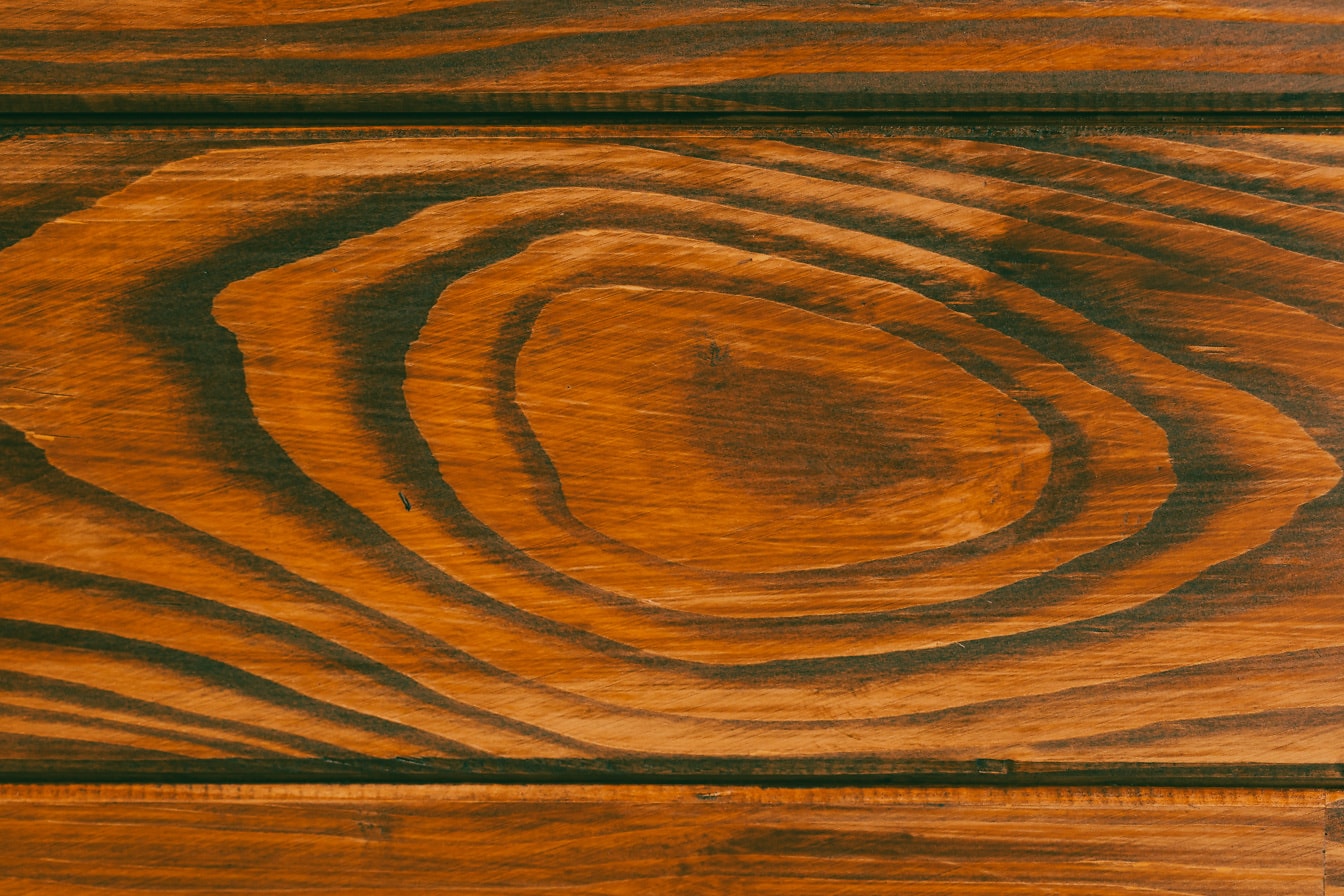 Horizontálny prierez drevenej dubovej dosky s uzlom