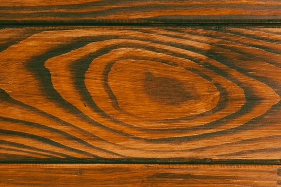 Horizontal cross section of wooden oak plank with knot