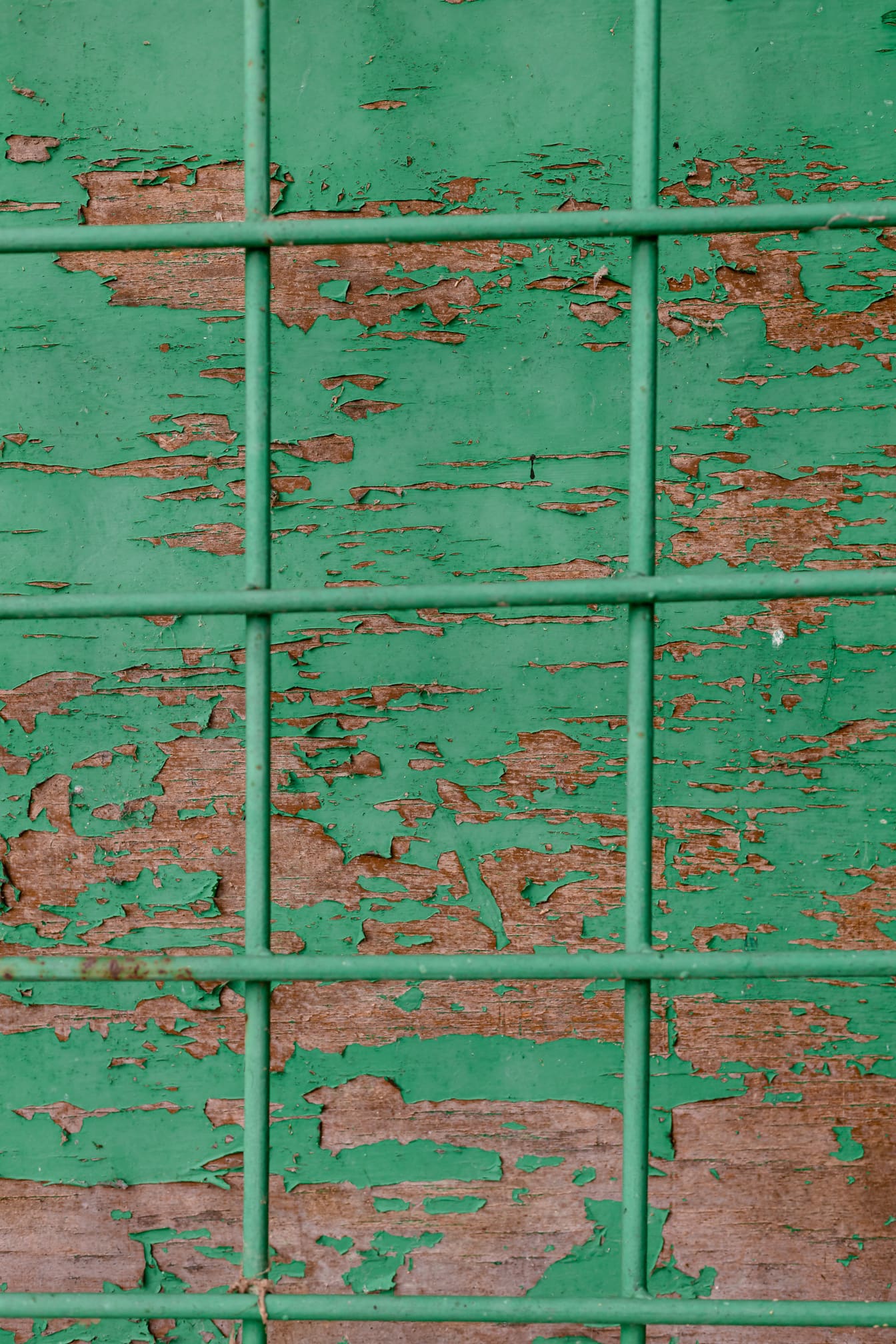 Rough dark green peeling paint texture with iron grid