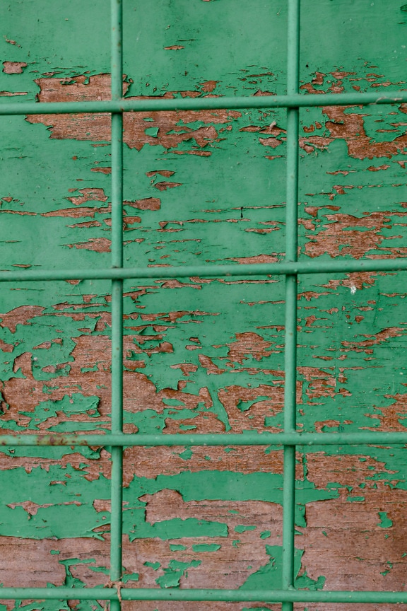 Rough dark green peeling paint texture with iron grid