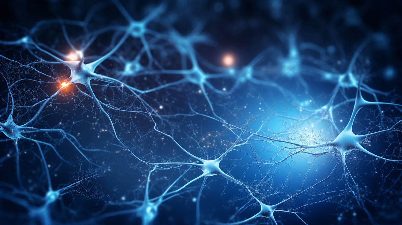 神经元网络脑细胞分裂图