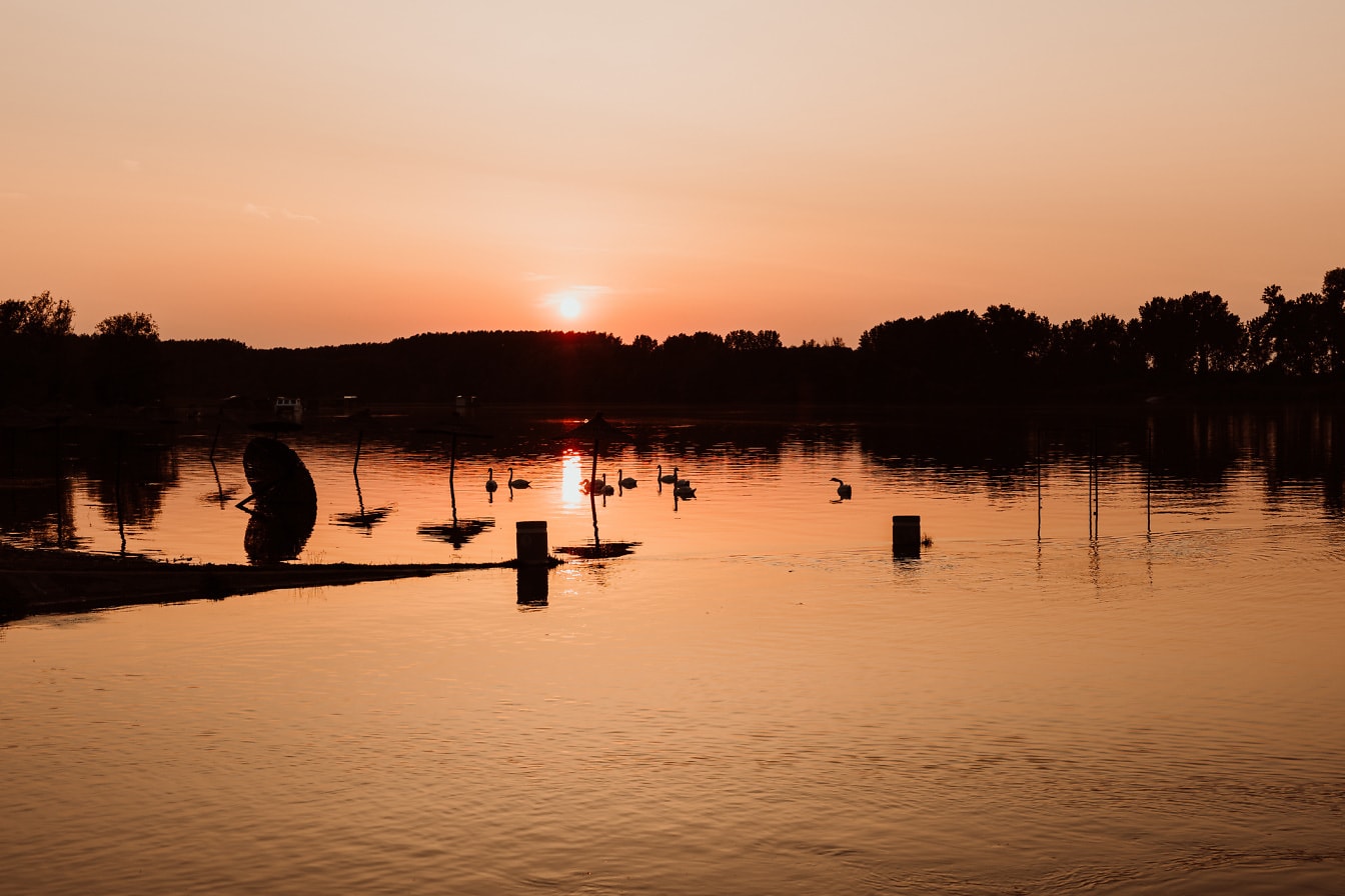 Oranžovožlutý soumrak v letní sezóně na břehu jezera