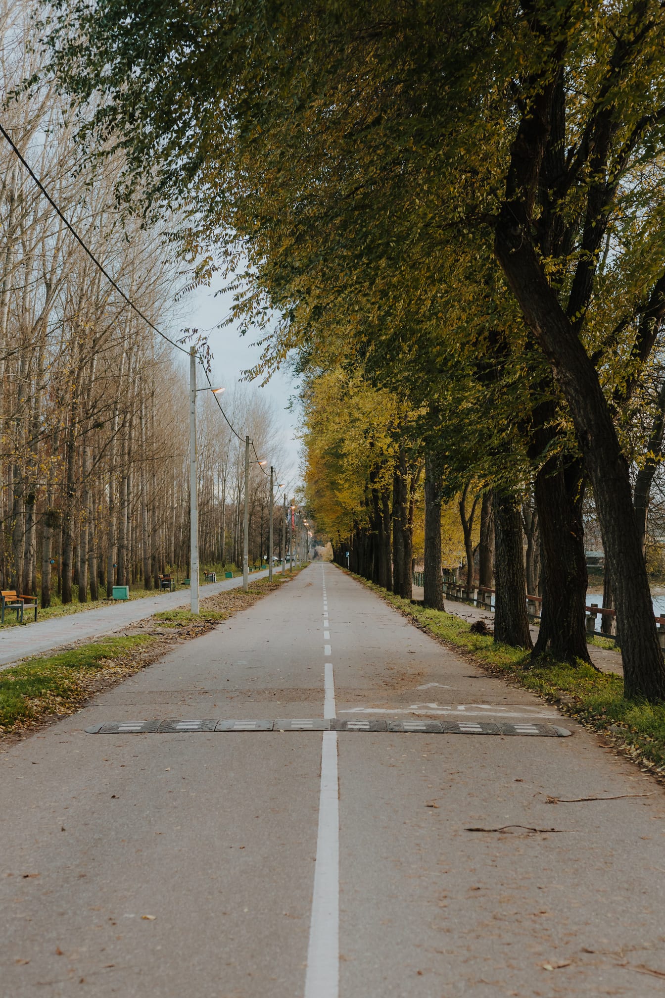 Lege asfaltweg met trottoir en bomensteeg