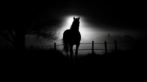 Silhouette of horse standing in darkness by fence in dark night