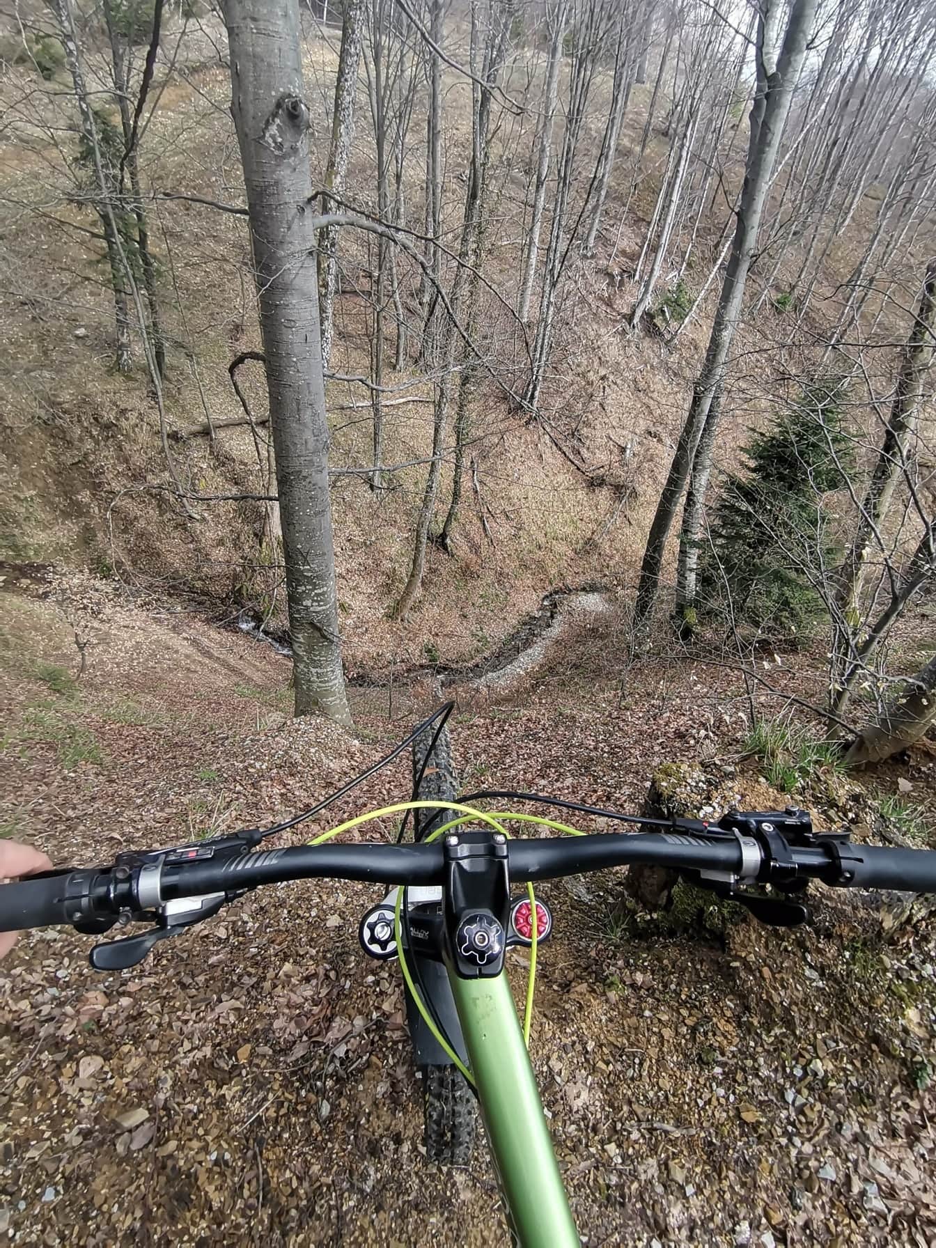 숲 속의 언덕 꼭대기에서 산악 자전거 운전